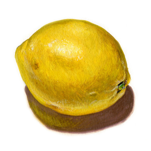 Illustrations documentaires de citron
