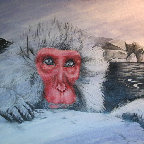 Illustration documentaire de macaque au crayon