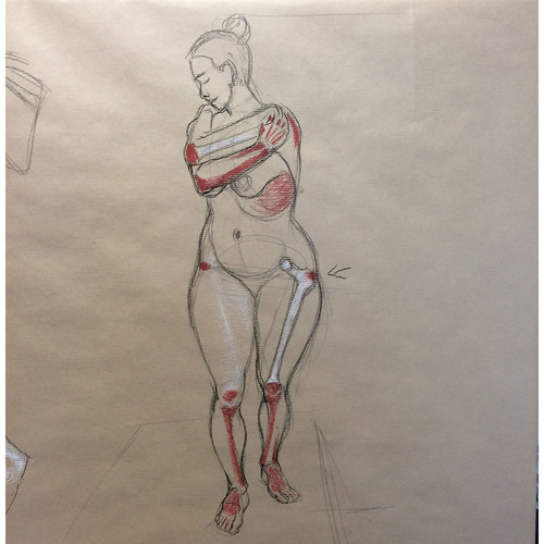 posturologie et illustration avec anatomie de surface et os