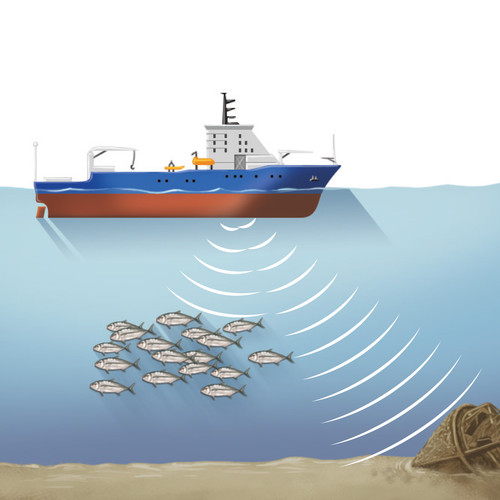 Illustration de bateau, banc de poissons et fonctionnement de sonar