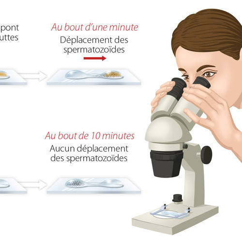 Illustration d'expérience scientifique